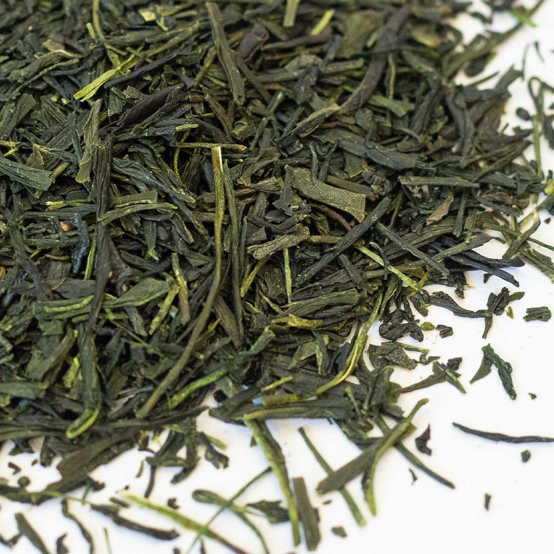 Ryusozan Withered Sencha (Yabukita)