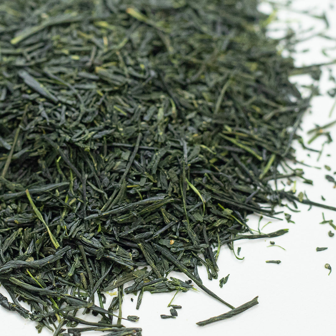Sencha d'Ashikubo – terroir historique de Shizuoka
