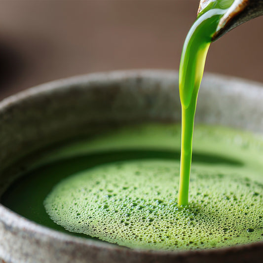Ceremonial Honyama Matcha